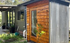 The Container House
